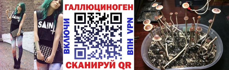 Псилоцибиновые грибы MAGIC MUSHROOMS  Городовиковск 