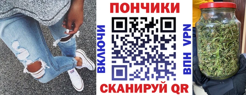 купить наркотик  Городовиковск  Бошки марихуана сатива 